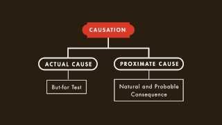 Criminal Law tutorial Causation  quimbeecom [upl. by Niro614]