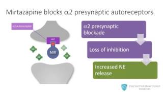 Mirtazapine From Mechanism to Clinical Applications [upl. by Fadil124]