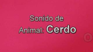 Sonidos de Cerdo [upl. by Ytsur919]