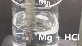 Molar Volume of Hydrogen Gas  Mg  HCl [upl. by Nadruoj4]