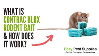 What is Contrac Blox Rodent Bait amp How Does it Work [upl. by Brianne]