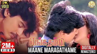 Enga Thambi Tamil Movie Songs  Maane Maragathame Video Song  Prashanth  Subhashri  Ilaiyaraaja [upl. by Kcinimod]