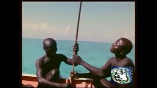 2018  Indian Ocean  North Sentinel Island  The Most Isolated Stone Age Tribe in the World  2311 [upl. by Bonar]