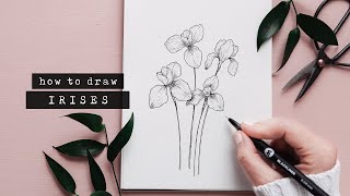 How To Draw An Iris Flower  Floral Illustration [upl. by Anitnuahs]