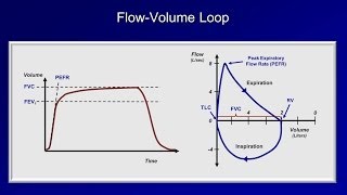 Pulmonary Function Tests PFT Lesson 2  Spirometry [upl. by Ayotna]