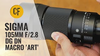 Sigma 120300mm f28 Review The Ultimate Sports Lens [upl. by Florida]