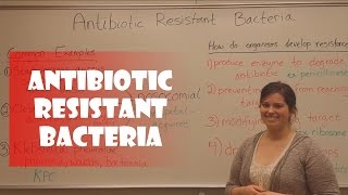 Antibiotic Resistant Bacteria [upl. by Dian]