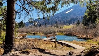 Natural reserve Zelenci Kranjska Gora Slovenia [upl. by Tnelc]