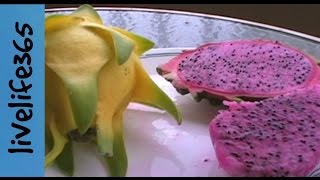 How toPrepare amp Eat Dragon Fruit [upl. by Idnahr]