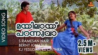 Mayilaay Parannuvaa  Video Song  Berny Ignatius  Kunchacko Boban  Jomol  Mailpeelikkavu [upl. by Tadio]