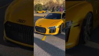 Sheepey Race Audi R8 [upl. by Swayder]