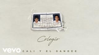 Cali Y El Dandee  Besos Tristes Official Audio [upl. by Wailoo465]