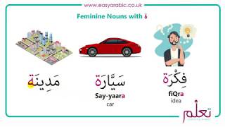 Beginners Arabic  Lesson 12  Nouns  Gender [upl. by Hennessy]