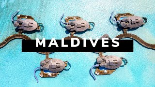 MALDIVES TRAVEL DOCUMENTARY  The Pearls of the Indian Ocean [upl. by Canty]