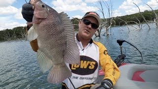 Fox Sports Outdoors SOUTHWEST 27  2014 Squaw Creek Texas Tilapia Fishing [upl. by Nimrahc401]