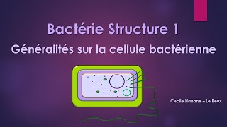 Bactérie Structure 1 BACTERIE [upl. by Jaehne]