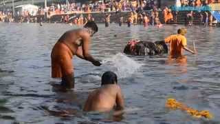 Save Pamba  Sabarimala Devotees to Keep Pamba River Clean  Manorama Online [upl. by Karame114]