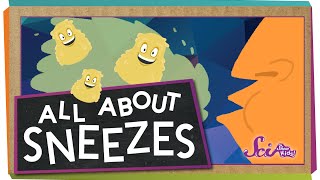 All About Sneezes [upl. by Cattan]