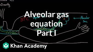 Alveolar gas equation  part 1  Respiratory system physiology  NCLEXRN  Khan Academy [upl. by Ilyah240]