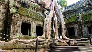 Angkor Ancient Mega City in the Jungle [upl. by Deegan]