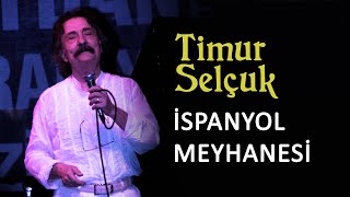 Timur Selçuk  İspanyol Meyhanesi Official Audio [upl. by Ferris]