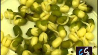 DIYTutorial sencillo germinados Brotes de soja [upl. by Ashman]