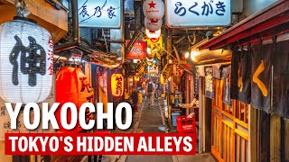 What is a Yokocho Tokyo’s Culinary and Boozey Back Streets [upl. by Gladi]